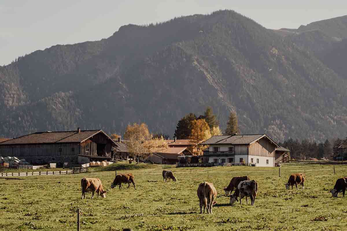 agriturismo di montagna