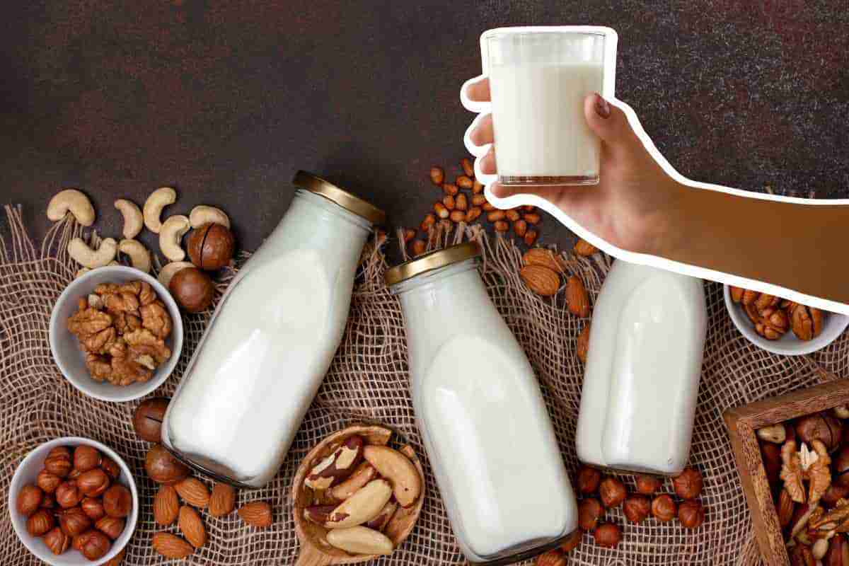 il latte vegetale è sempre sano?