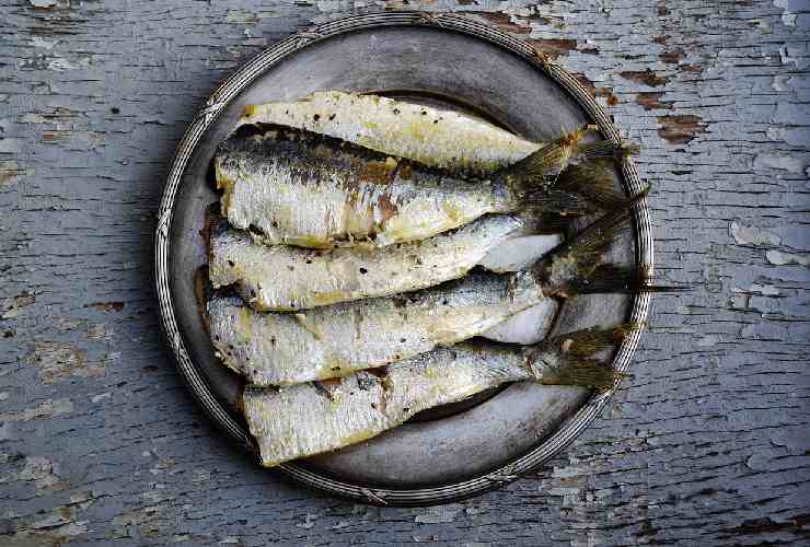 Sardine al forno