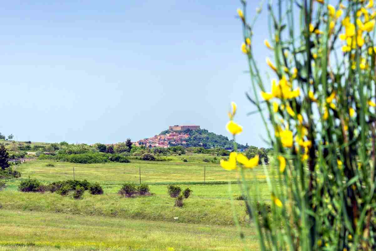 Transizione ecologica Basilicata