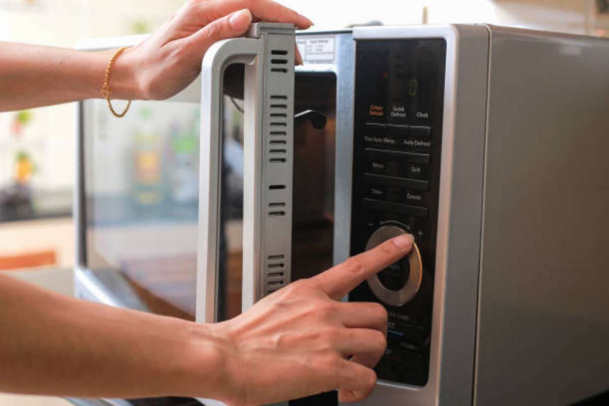 Forno a microonde quali cibi