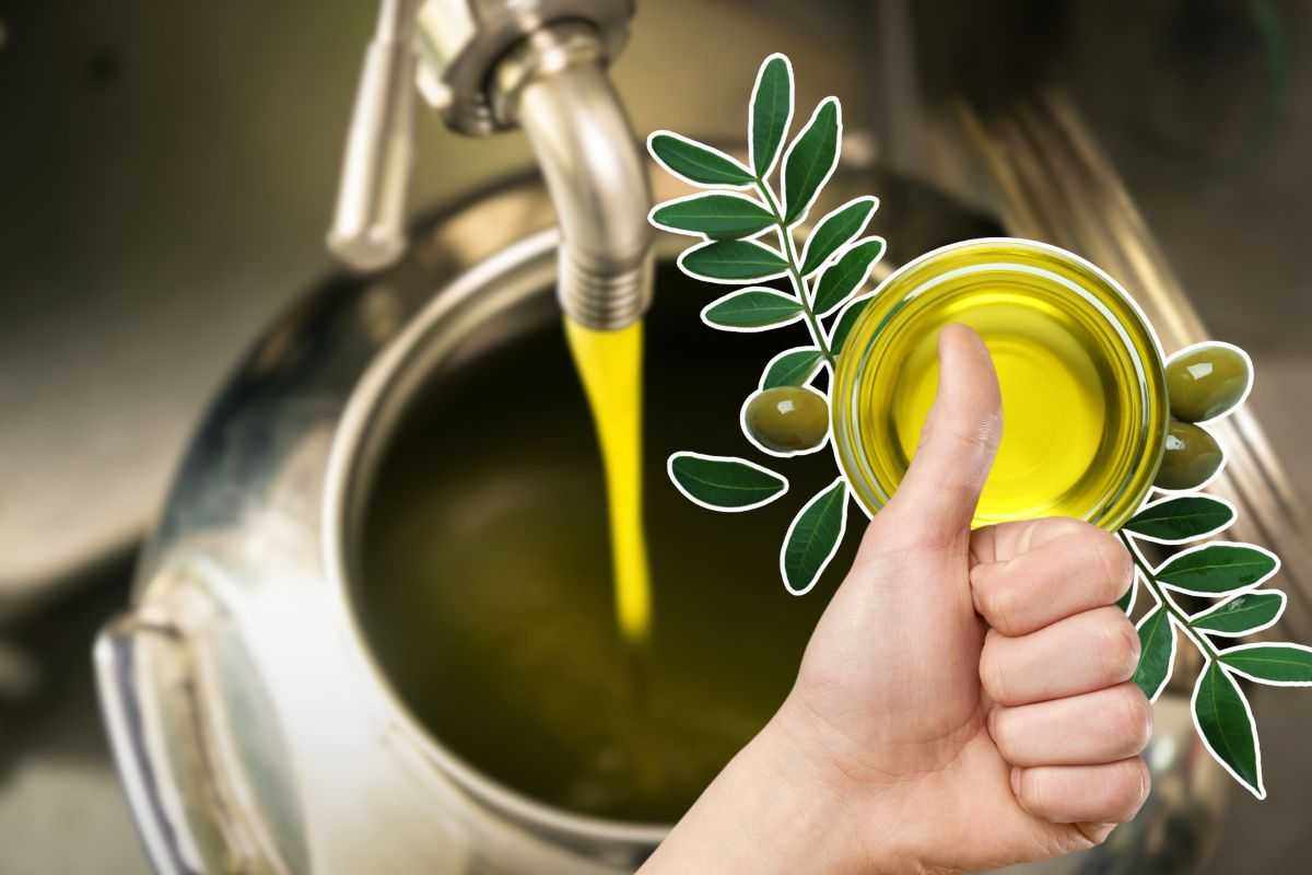come conservare l'olio evo